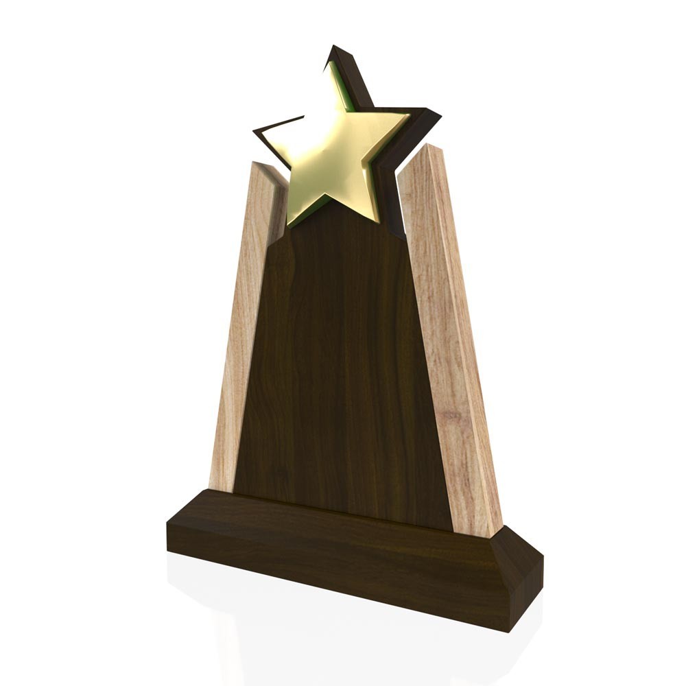 AP 107 Wooden Award