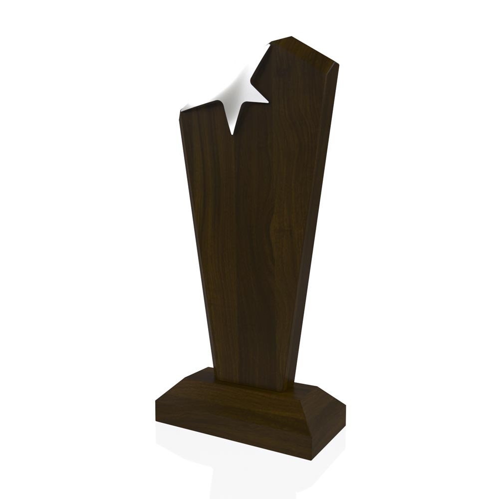 AP 112 Wooden Award