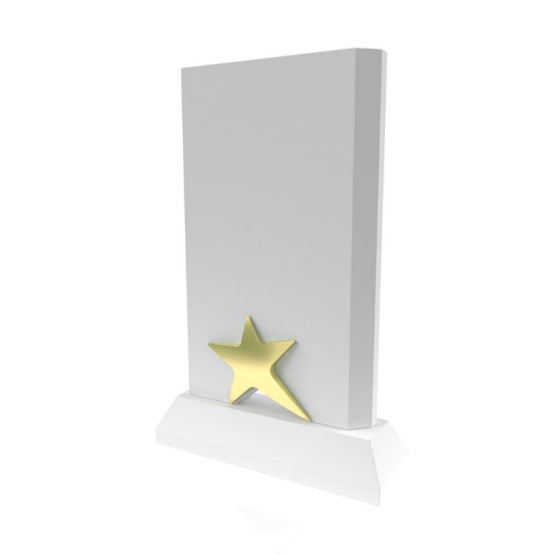 AP 113 Wooden Award