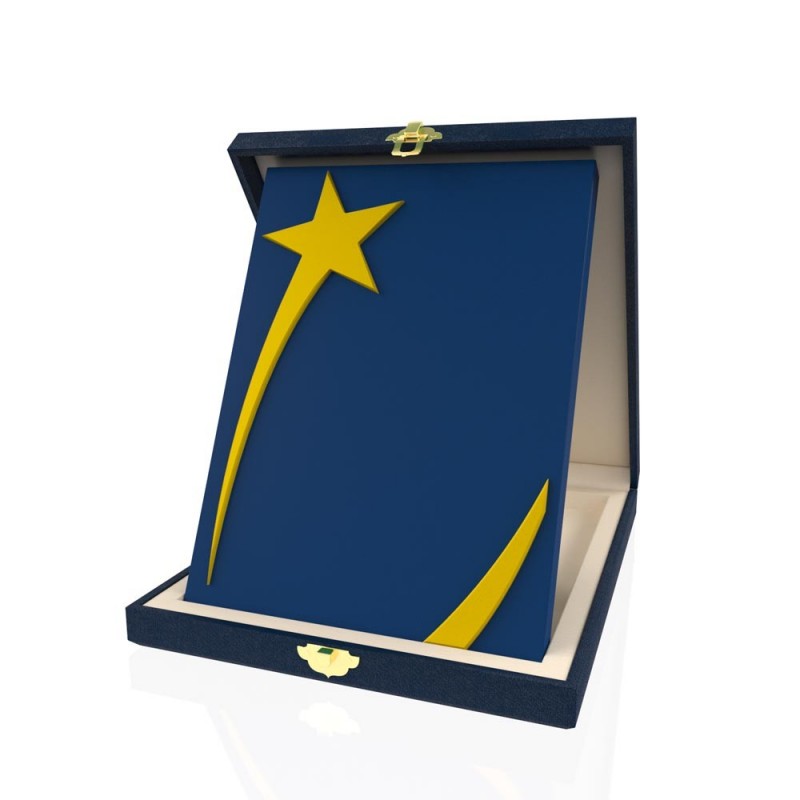 AP 116 جائزة خشبية
